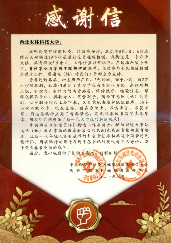 dcb176d63574443ba25ca54eeaf1b710.png
