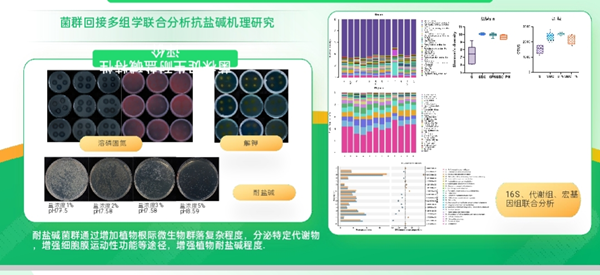 图片4_副本.png