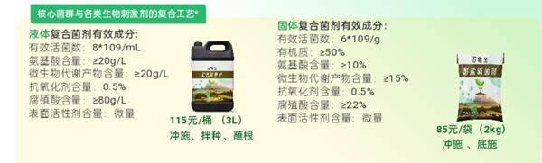 图片6_副本.png