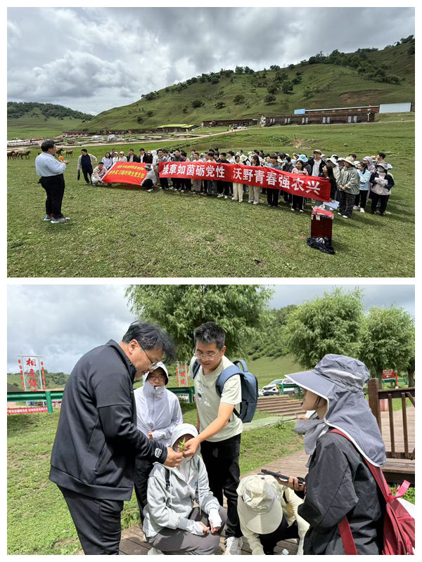 光影魔术手拼图.jpg