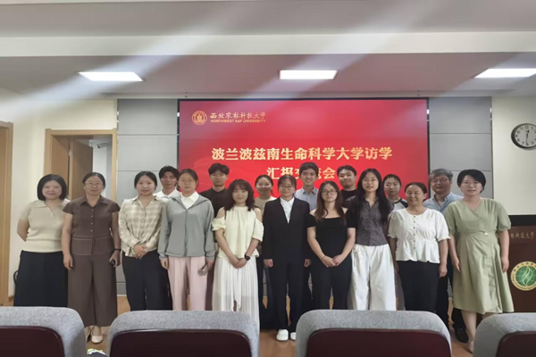 图片2_副本.png