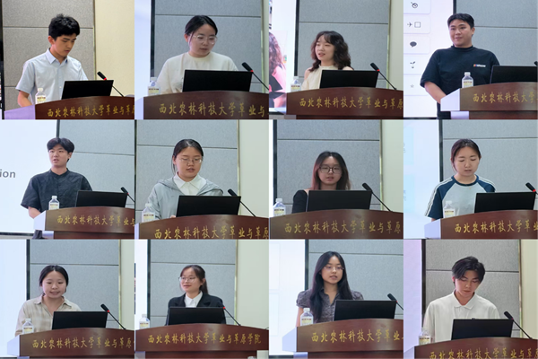 图片1_副本.png