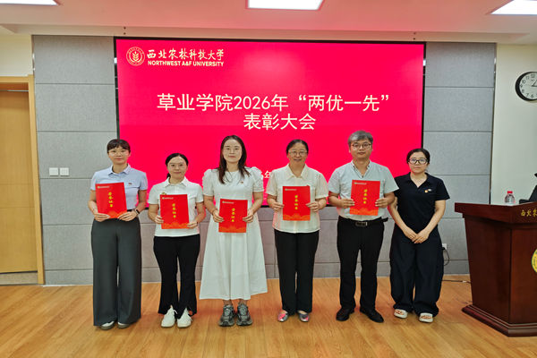 学院党委委员申小霞为教职工优秀共产党员颁奖.jpg